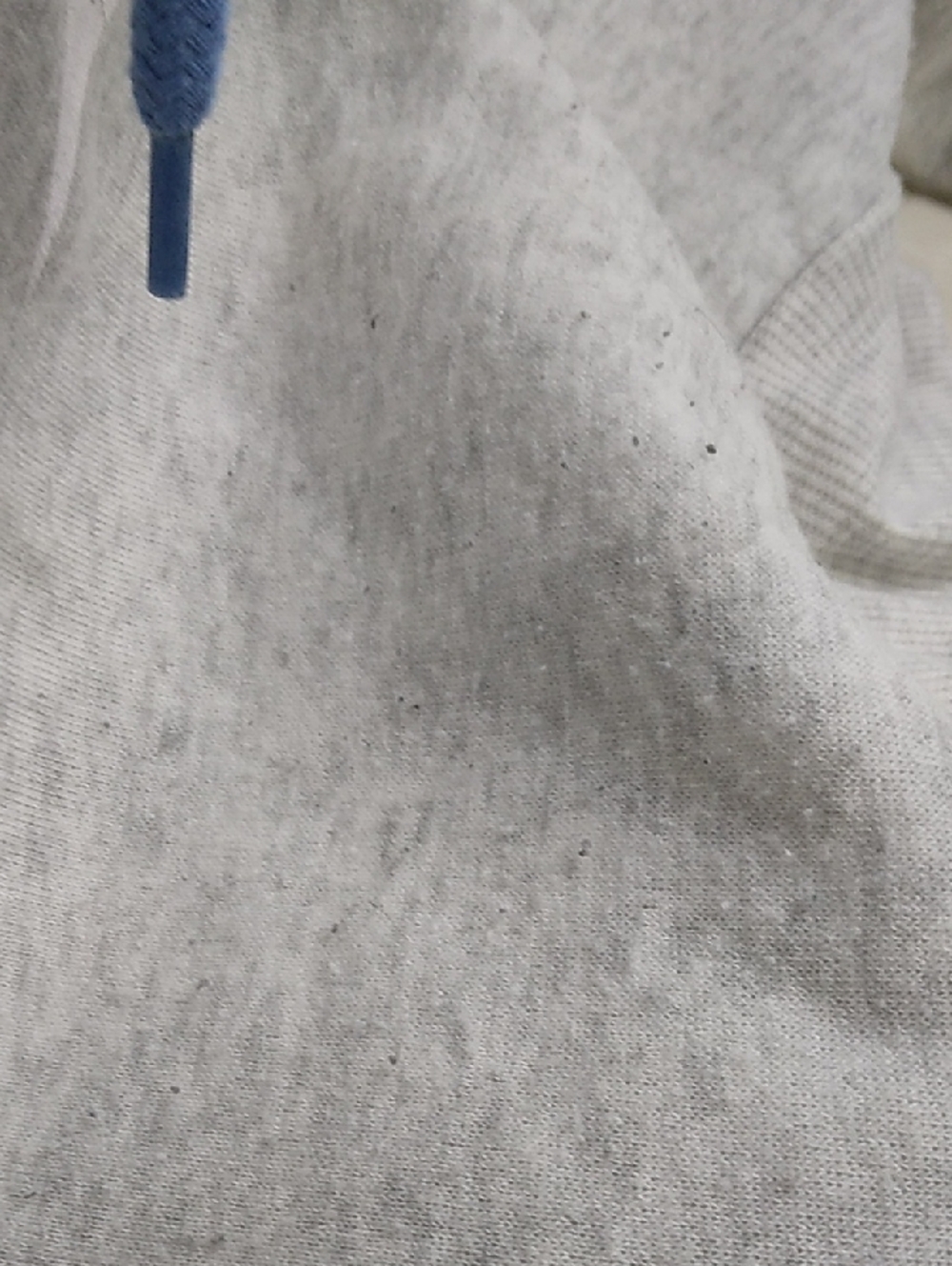 California Graphic Cropped Hooded Sweatshirt Light Gray and Blue - Picture 7 of 7